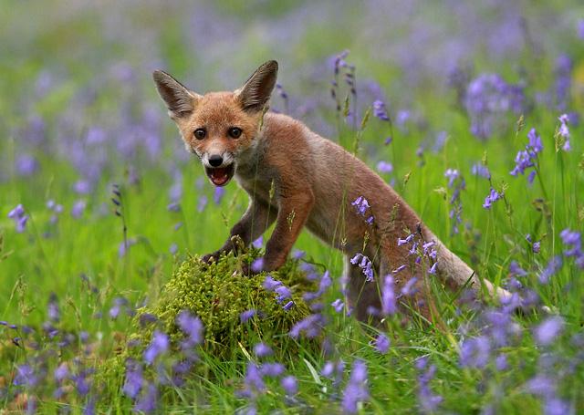 1588821650297991.jpg 22.jpg