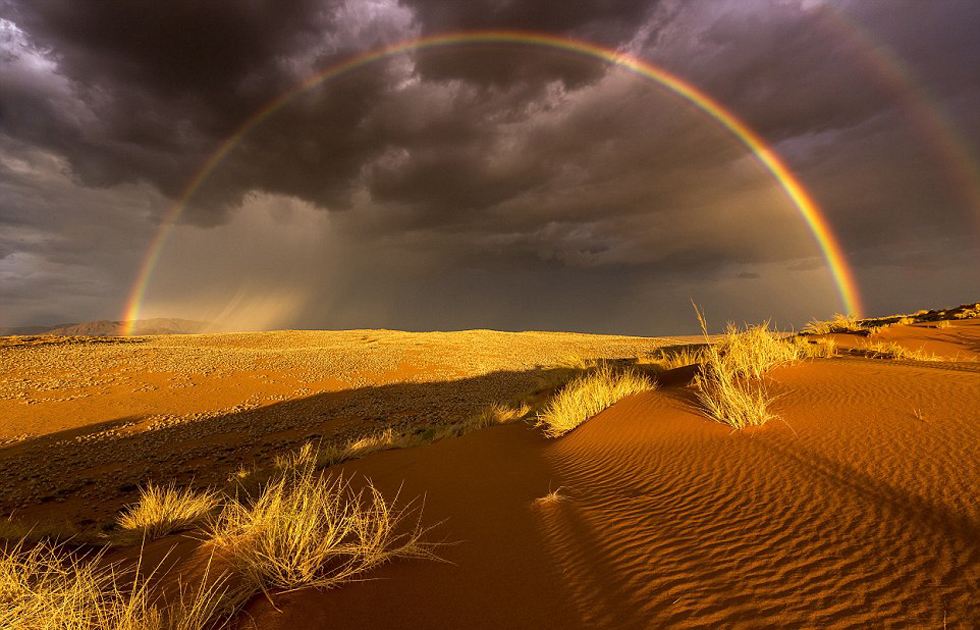 1588821710268794.jpg 23.jpg