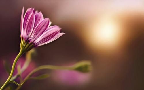 1589682656625628.jpg 34.jpg