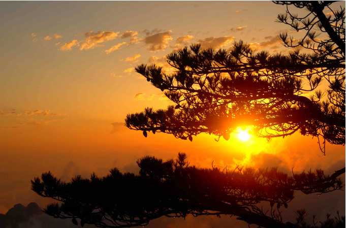 1627790498490708.png 微信圖片_20210729142430.png