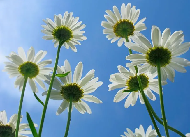 1627977179328662.png 微信圖片_20210803155044.png