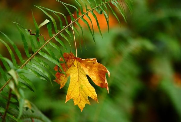 1627977284386648.png 微信圖片_20210803155108.png