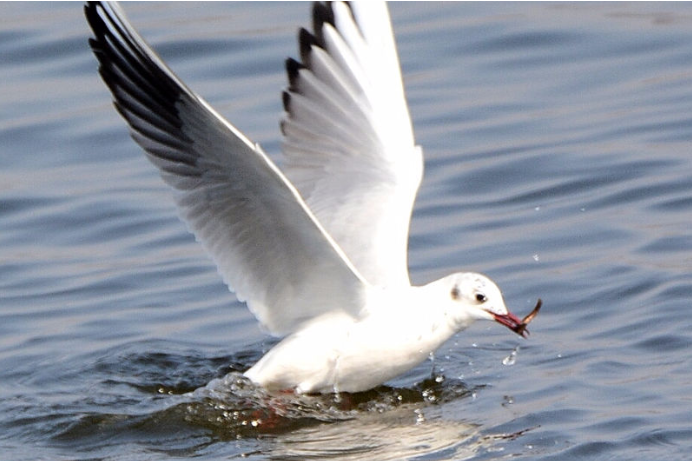 1628065250386477.png 微信圖片_20210803160842.png