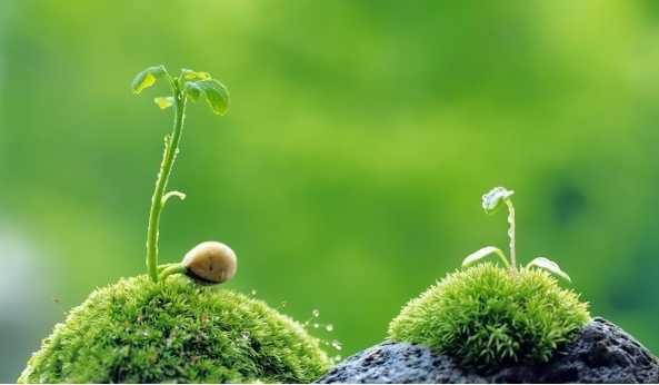 1628065493100095.png 微信圖片_20210804154113.png