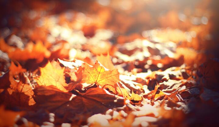 1639815700877394.jpg 1.jpg