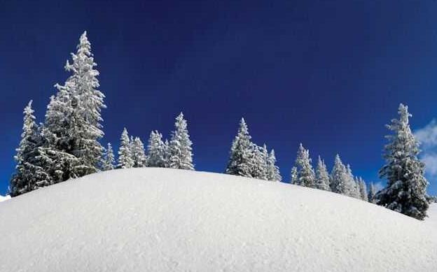 1639815897128666.jpg 1.jpg