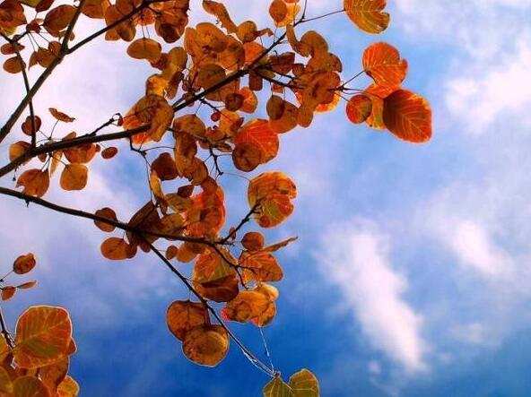 1641528000615831.jpg 1.jpg