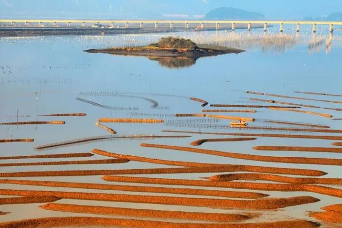 1660708683326248.jpg 1.jpg