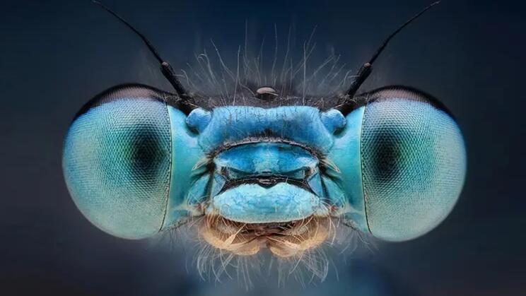 1660895317361579.jpg 1.jpg