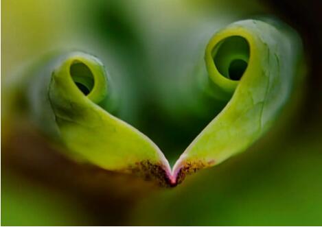 1662977216187872.jpg 1.jpg