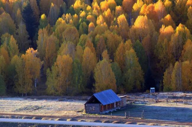 1663126383549383.jpg 1.jpg