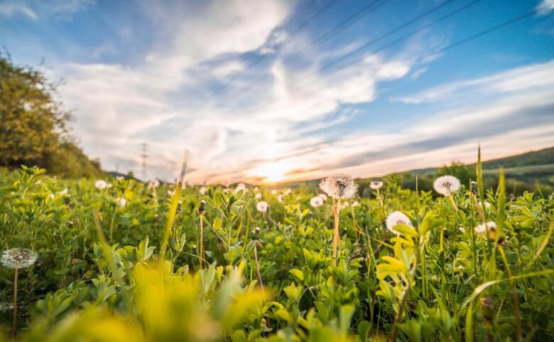 1664349656571965.jpg 1.jpg